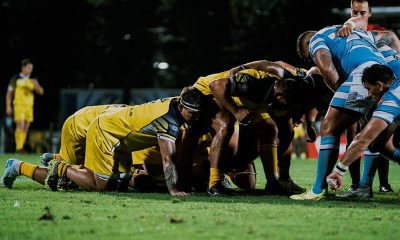 mischia Zebre Parma