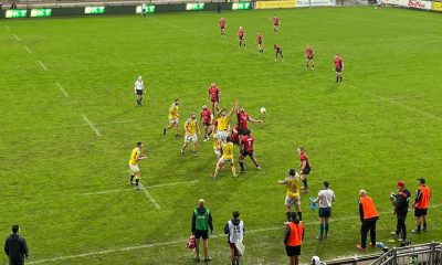 zebre vs lions 9 10