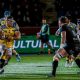 Zebre Parma vs Emirates Lions United Rugby Championship