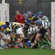 Rugby Parma FC vs CUS Milano 24 24 10a giornata Serie A rugby 2024 2025 foto Basi