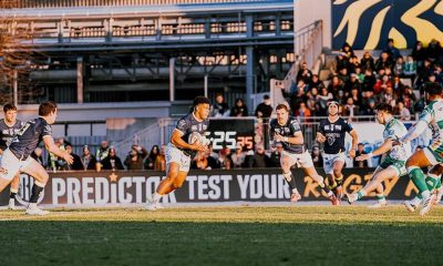 Zebre Parma in azione contro Benetton Rugby