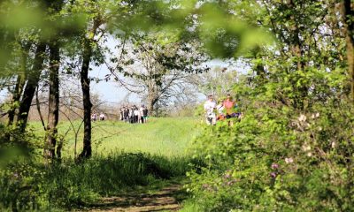 Camminata tra i boschi di Fornio 2024