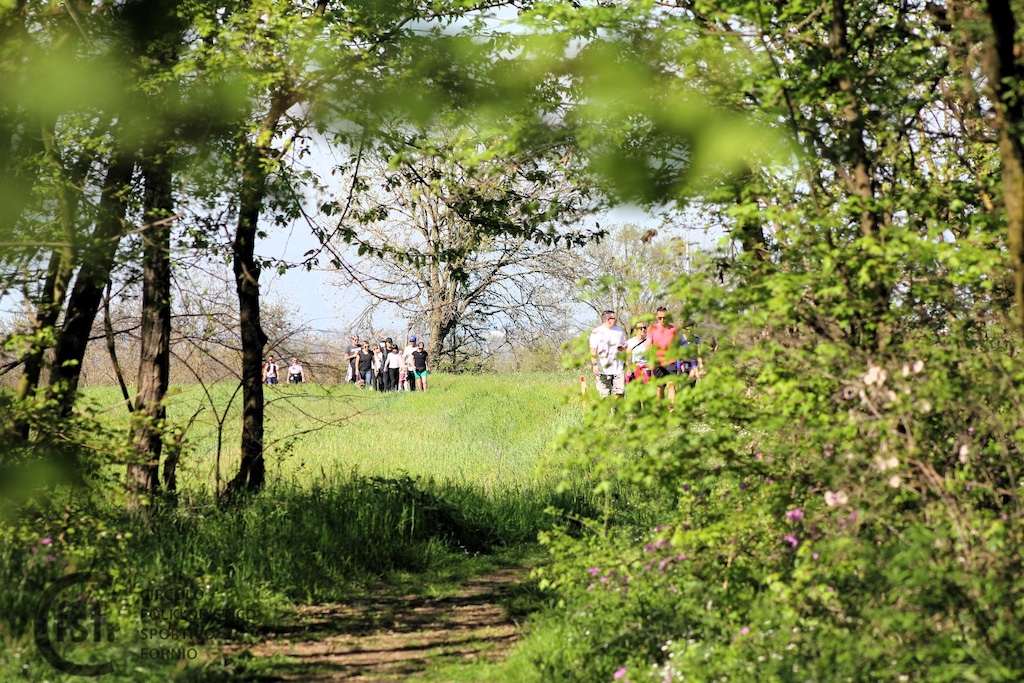 Camminata tra i boschi di Fornio 2024