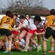 una mischia di gioco in SIA MPL Furie Rosse Rugby Colorno vs Volvera Rugby 10a giornata Serie A Elite femminile 2024 2025