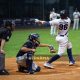 Camec Collecchio vs Farma Crocetta gara1 Serie A baseball 2025 battitore foto Simone Ferrari