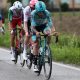 Martin Marcellusi VF Group Bardiani CSF Faizane alla 14esima tappa del Giro dItalia