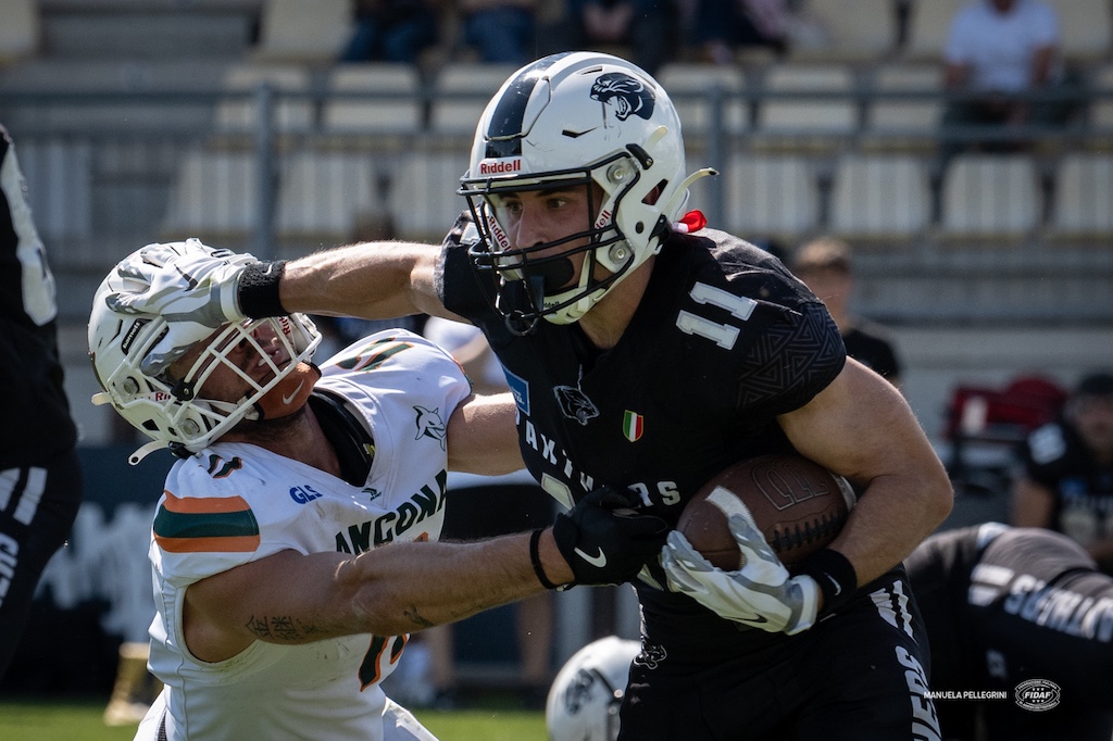 Parma Panthers vs Dolphins Ancopna 17 33 ph. credits Manuela Pellegrini IFL WEEK 13