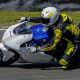 francesco curinga delmo racing team