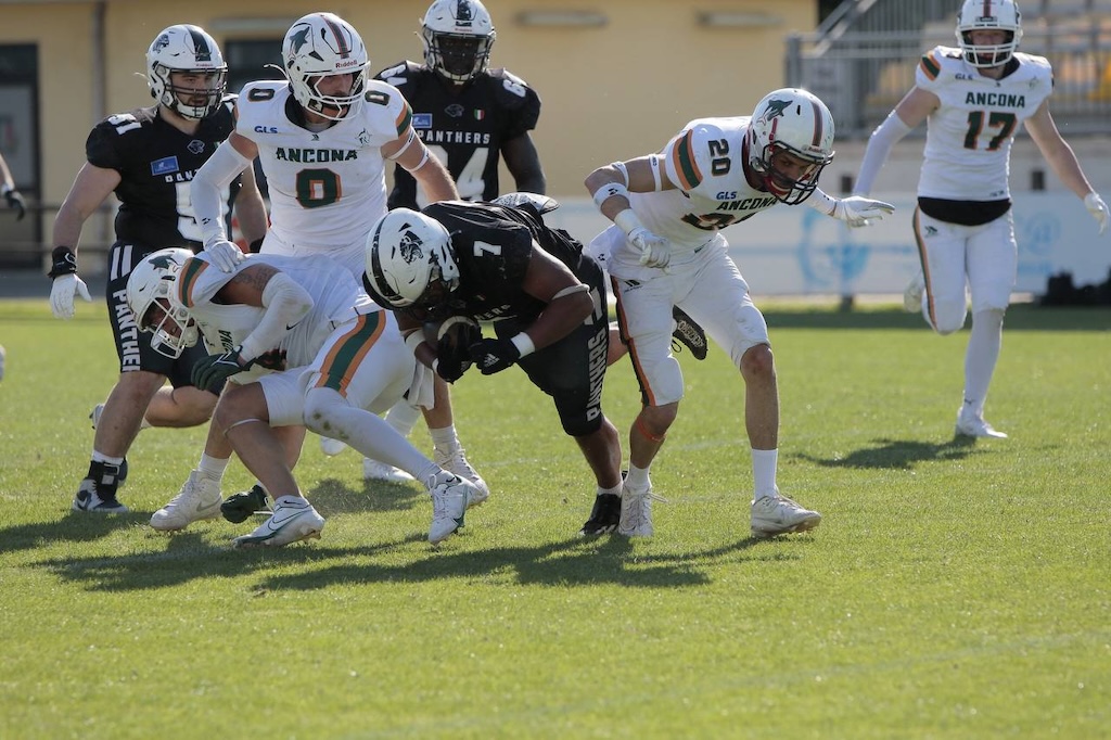 Panthers sconfitte: prova di forza dei Dolphins, finisce 17-33 1 panthers vs dolphins
