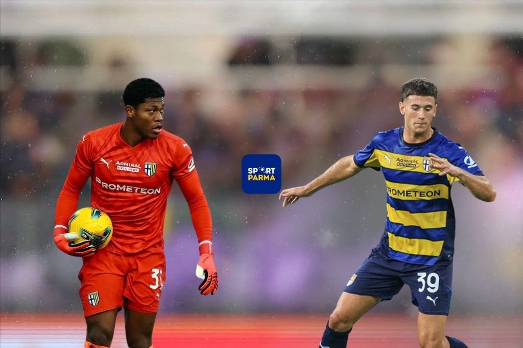 Australia-Giappone si tinge di gialloblù: Circati sfida Suzuki 1 Suzuki vs Circati