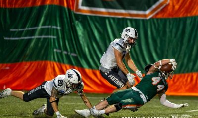 dolphins ancona vs panthers parma semifinale 2025