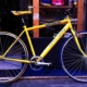 sportparma merlino bike 171674939