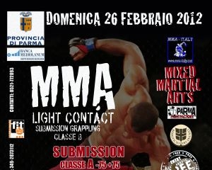 mma2 313770146