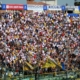 parma cagliari tifosi 895328305