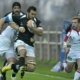 Geldenhuys Zebre Ulster 712233401