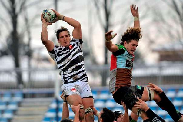 Van Schalkwyk Zebre Harlequins 645597751