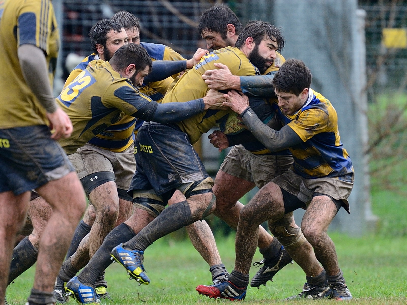 noceto rugby parma rugby 984708146