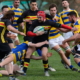 rugby parma 2014 751163351