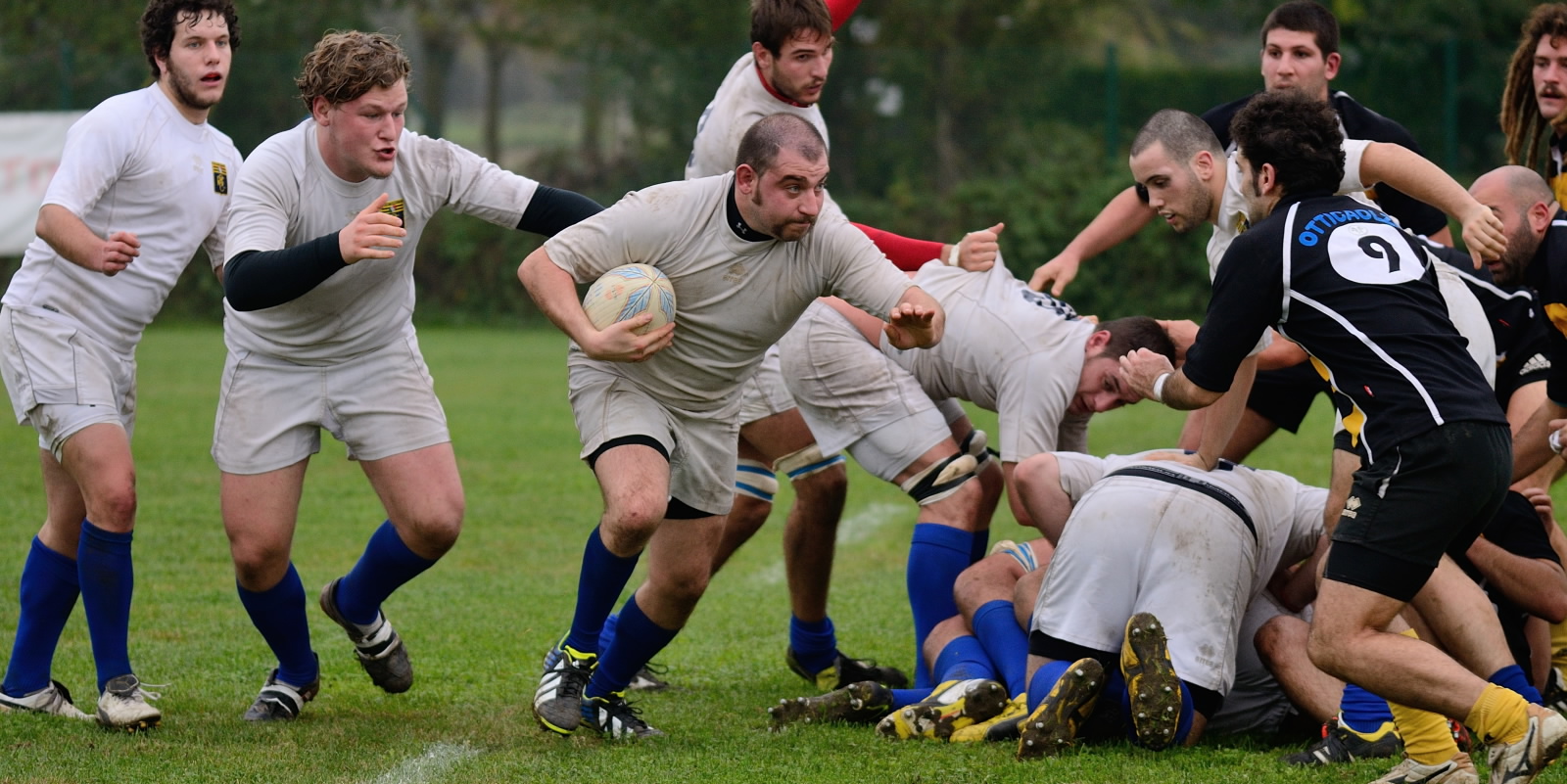 rugby parma ok 346023265