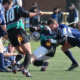 rugbyparmaseriec 946876694