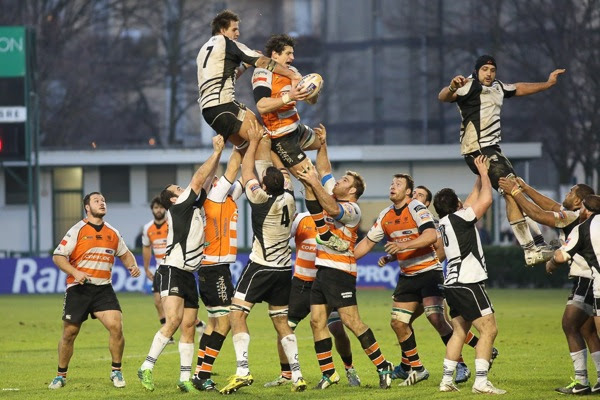 zebre derby 2 171486357