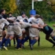 rugbyaprma 905022104