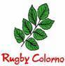 rugby colorno logo